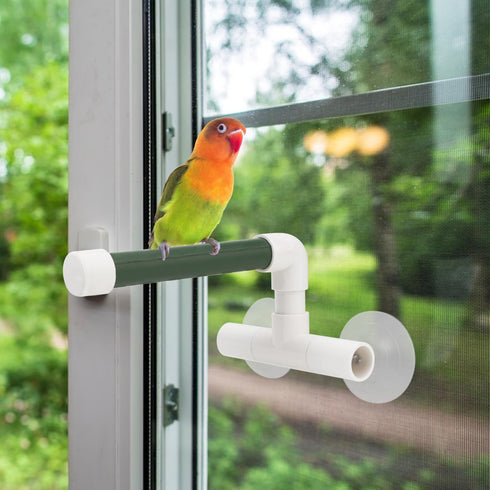 Hypeety Bird Parrot Stand Perch Shower Toy with Suction Cup for Parakeet Finch Bath Stands