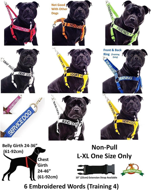 Friendly Green Colour Coded Non Pull Dog Harness - L-XL, Prevents Accidents by Warning Others