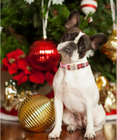 Lionheart Glory Christmas Plaid Dog Collar, Adjustable Soft Pet Gift, Red for Small Medium Large Dogs