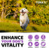 2-Pack Dog Multivitamin Chewable with Glucosamine - Senior & Puppy Multivitamin for Dogs for Hip & Joint Support