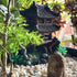 Classical Resin Castle Decorations - Realistic Details Castle for Fish Tank Aquarium Accessories