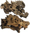 PINVNBY Natural Driftwood for Aquarium, Large Reptile Terrarium Decor, Assorted Branches, 2 Pack