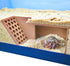 Hermit Crab Underground Cave | Hermit Crab Climbing Enrichment Tank Decor Hide
