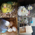 Pet Wood Parakeet Nest Box - Bird House Breeding Nesting Cage Box for Lovebirds, Cockatiel, Parrotlets