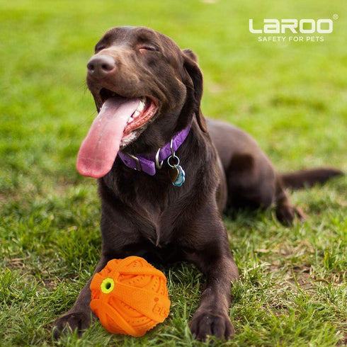 LaRoo Squeaky Dog Ball Toy, Durable Natural Rubber Chew Toy for Small Medium Large Dogs, Floating Training (3.5In