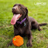 LaRoo Squeaky Dog Ball Toy, Durable Natural Rubber Chew Toy for Small Medium Large Dogs, Floating Training (3.5In