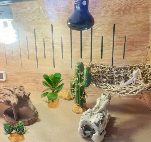QuarenDen 4 Fake Reptile Plants, Desert Reptile Plants Succulent kit, Reptile Terrarium Decorative, Pcs, Faux Cactus