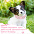 2 Pieces PU Leather Dog Collar Pink Rhinestone Flower Pattern Studded Adjustable Bling Puppy Collar (XS: 8.2-10.6 Inch)