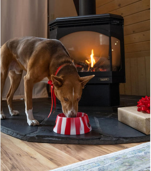 Silipint Aqua-Fur Silicone Dog Bowl, Peppermint, 18oz Collapsible, Lightweight Feed & Water Dish for Travel