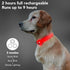 LED Light Up Dog Collars, Micro USB Rechargeable Waterproof, Adjustable Glow Dark Collar for Night Walking for Small