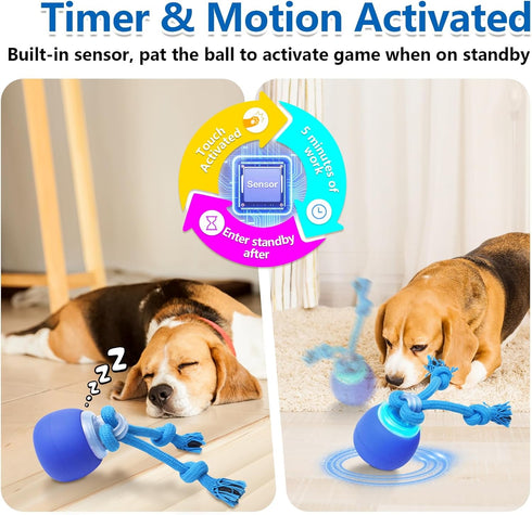 Saolife Interactive Dog Toys with Motion Activated, Squeaky Dog Toy Active Rolling Ball for Puppy and Medium Dogs, USB