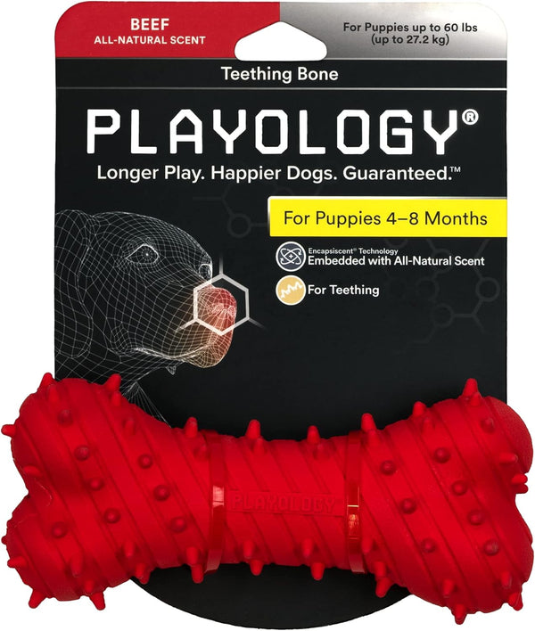 Playology Puppy Teething Bone Dog Toys - Large Chew Toys with Squeaker for Puppies 4-8 Months, All Breeds