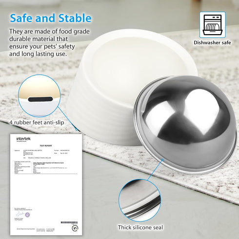 Tilted Angle Dog Bowl, 15° Slanted Stainless Steel Dog Cat Food Bowl with Elevated Detachable Melamine Stand, Medium