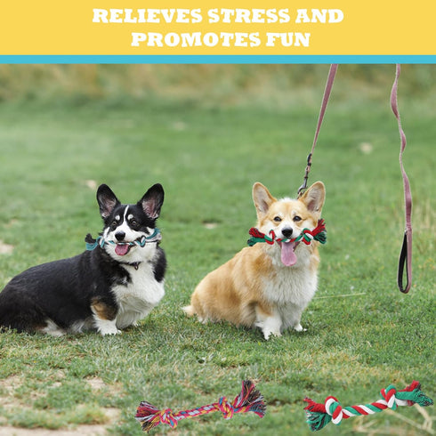 60 Pcs Multi Color Knot Rope Dog Chew Toys | Puppy Tug of War Toy for Small and Medium Dogs