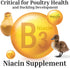 72-Ounce Brewer's Yeast + Probiotics + Niacin + Vitamins Supplement for Ducks, Chickens and Poultry. (Molt Recovery