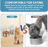 2 Pcs Small Wall Mounted Cat Bowls, Elevated Hanging Puppy Food and Water Bowls, Stainless Steel Non-Spill Kitten