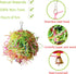 Vehomy Chicken Toys for Hen - 2pcs Natural Colorful Loofah Shredder Toys, Handmade Bird Chewing Foraging Hanging Toys
