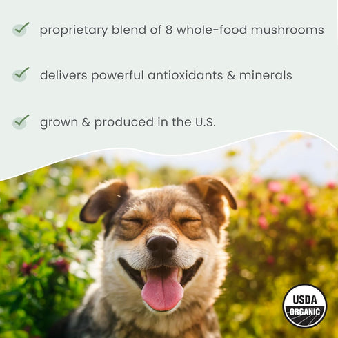 Immune 2.11 oz. (60 Dr. Mercola Bark & Whiskers Organic Fermented Mushroom Blend - Cat & Dog Supplement - Supports