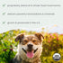 Immune 2.11 oz. (60 Dr. Mercola Bark & Whiskers Organic Fermented Mushroom Blend - Cat & Dog Supplement - Supports