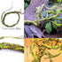 Hamiledyi 9.8FT Lizard Climbing Jungle Vines, Bendable Artificial Branch Reptile Tank Habitat Decor for Bearded Dragon,