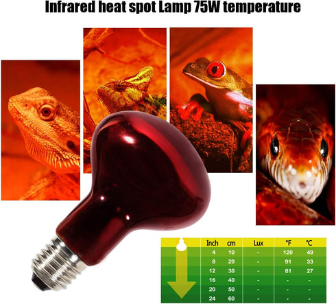 Infrared Heat Lamp Bulbs 75W 2 Pack - Red Basking Spot Light Bulb for Reptiles like Bearded Dragon, Turtle, Snake, with