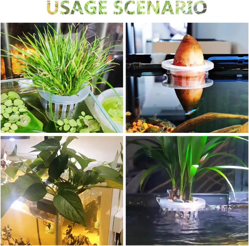 6Pcs Acrylic Aquarium Plant Holder, Top of Tank Aquatic Plant Cups for Fish Tank Decor