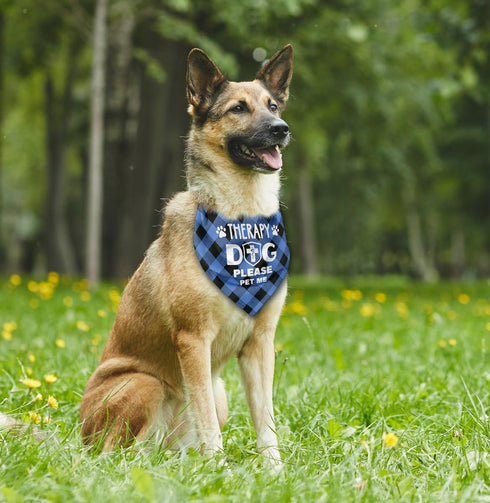 Dog Bandana, Therapy Dog Please Pet Me with Hearts, Classical Plaid Printing, Pet Scarf Accessories, Gift, Dog Bandana