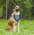 Dog Bandana, Therapy Dog Please Pet Me with Hearts, Classical Plaid Printing, Pet Scarf Accessories, Gift, Dog Bandana