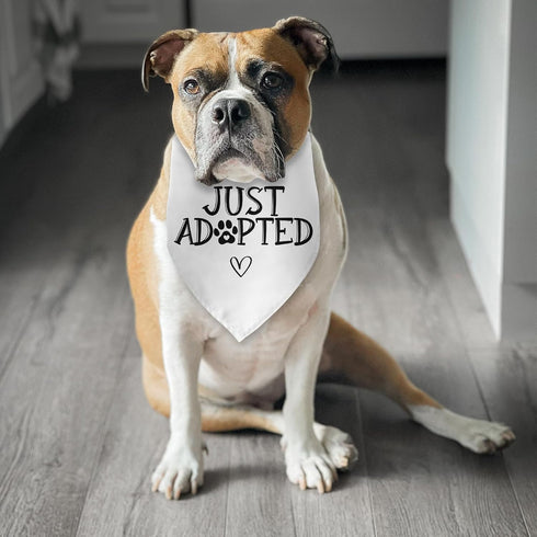 Luptiteuy Adopt Me Bandanas for Dogs Just Adopted Dog Bandana Adopt Me Baby Dog Announcement Photo Prop Pet Scarf