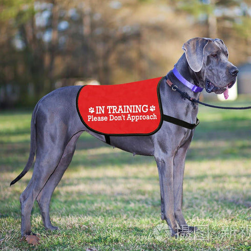 JXGZSO Nervous Do Not Approach Dog Jacket Vest, Nervous Rescue Space Dog Vest with Warning Slogan (Training approach M)
