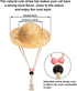 Weewooday 6 Pieces Dog Cat Costume - Pet Sunglasses and Summer Straw Hat with Faux Gold Chain Collar for Small Medium