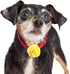 WILLBOND 26 Pcs Multicolor Dog Collar Flowers, 5 cm Pet Charms Bow Tie for Cat Puppy Dog Grooming Accessories