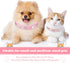 2 Pieces PU Leather Dog Collar, Pink Rhinestone Pet Collar with Flower Pattern, Adjustable Bling Puppy Collar (S:11-13
