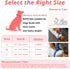 Dog Cat Pearl Collars with Crystal Rhinestone PU Leather Collars Necklace Adjustable CollarDog Chain Cat White Pearl Pet Collar (Medium, White)