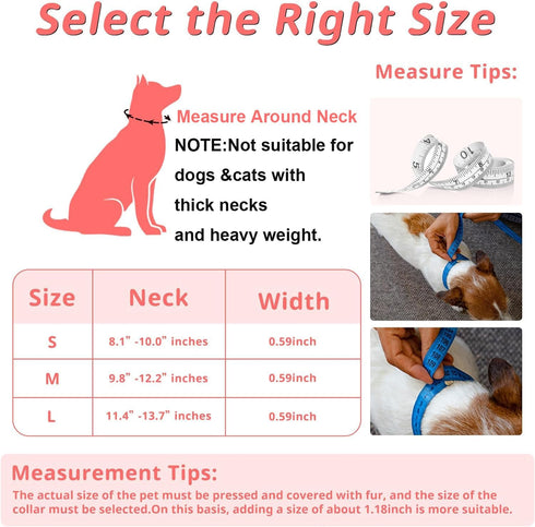 Dog Cat Pearl Collars with Crystal Rhinestone PU Leather Collars Necklace Adjustable Collar Leash Set Rope Dog Chain Cat Black Pearl Pet Collar (Small, White)