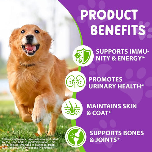 CFXYHNOX 15 1 B1, Dog Multivitamin Drops, in Multivitamin Liquid for Dog with Vitamin C, Vitamin D & Dog Health
