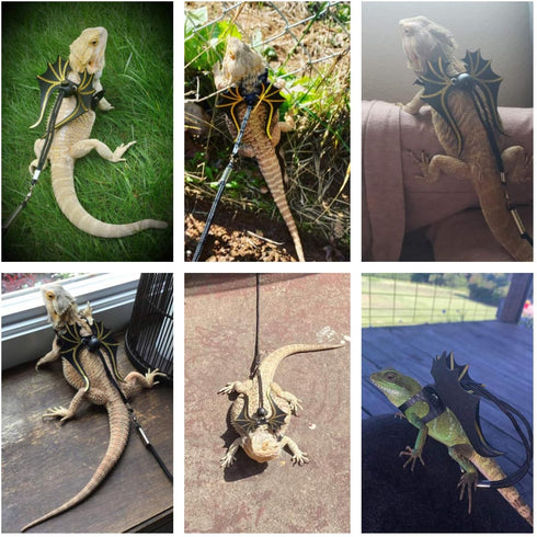 ADOGGYGO Bearded Dragon Lizard Leash Harness, 3 Size Pack Dinosaur Wing Harness for Reptiles