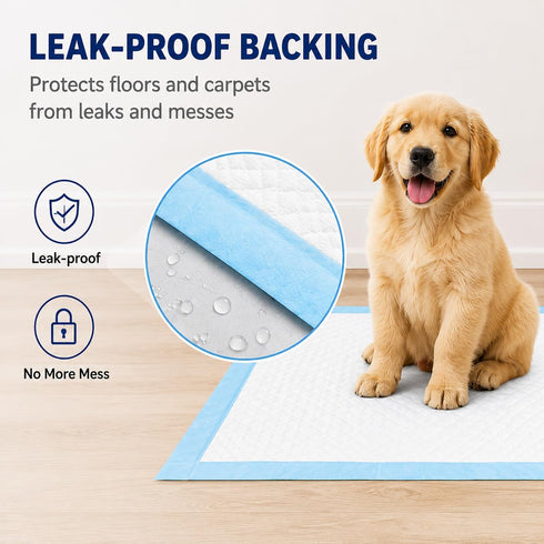 5-Layer (Regular22*22, Count, 40) Dog Padswith Adhesive BackingFixed, Leak-Proof Super Absorbent, Quick-Dry Surface