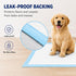 5-Layer (Regular22*22, Count, 40) Dog Padswith Adhesive BackingFixed, Leak-Proof Super Absorbent, Quick-Dry Surface
