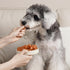 MON2SUN 2 Inch 21.2 oz Dog Treats, Soft & Chewy Chicken Sausage for Dogs, Grain-Free & Gluten-Free Training Treats