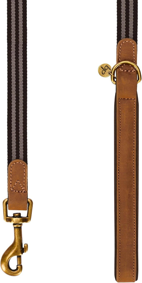 Blueberry Pet 6 ft x 3/4" Polyester Fabric Webbing and Soft Genuine Leather Dog Leash, Chocolate and Taupe
