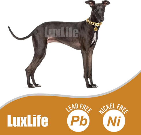 Dog Chain Collar - 15mm 19mm Thick with Quick Release Buckle, 18K Gold Chain for Small Medium Large Dogs (19MM, 22")