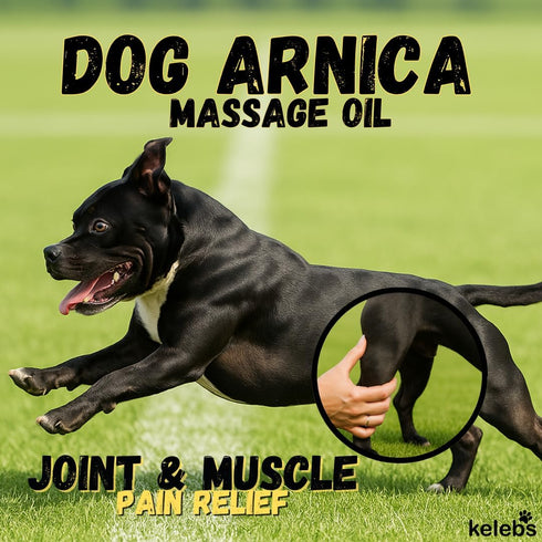 5 KELEBS Dog Arnica Massage Oil | Pain Relief for Muscles, Arthritis, Hips, and Joints | for Active & Senior Dogs |
