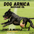 5 KELEBS Dog Arnica Massage Oil | Pain Relief for Muscles, Arthritis, Hips, and Joints | for Active & Senior Dogs |