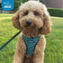 Best Pet Supplies Reflective No Pull Harness for Small, Medium Dogs, Cats - All Weather Mesh, Turquoise 2-Tone, XL
