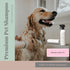 Begley’s Natural No Rinse Waterless Pet Shampoo - Deodorizing for Dogs, Puppies, and Cats - Fresh Lavender Scent