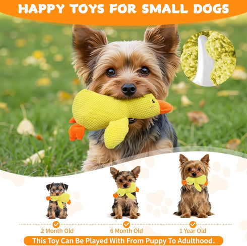 2026 9.8"x8.6"(S) Calming Duck Toy for Dogs, New Interactive Crinkle Toy with Quack Sound for Dogs Teeth, Soft Stuffed