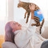 60 Count MICOOYO Disposable Cat Diapers, Cat Diapers for Female Cats with Ultra Stretchy, Puppy Diaper Super Absorbent