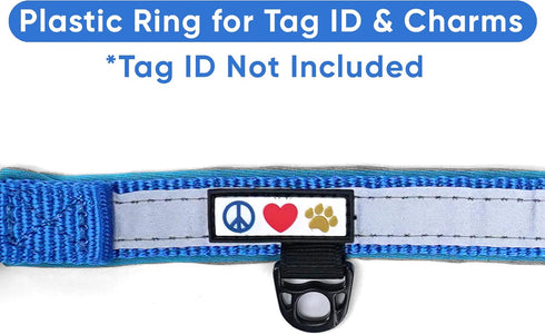 Pawtitas Lumberjack Padded Martingale Collar for Dogs, XS Blue, Soft Neoprene, Reflective Band for Visibility