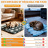 36x41in KOOLTAIL Washable & Waterproof Dog Whelping Pad for Large Dogs, Super Absorbent & Soft Warm Plush Puppy Pads